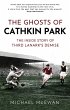 The Ghosts of Cathkin Park (eBook, ePUB) - Bild 1