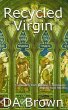 Recycled Virgin (eBook, ePUB) - Bild 1