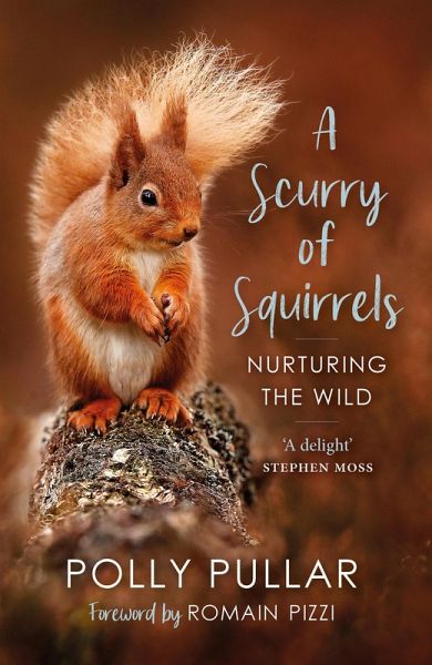 A Scurry of Squirrels (eBook, ePUB) A Scurry of Squirrels (eBook, ePUB)