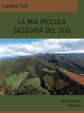 La mia piccola Sassonia del Sud (eBook, ePUB)