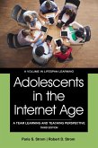 Adolescents in the Internet Age (eBook, PDF)