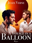 A Voyage in a Balloon (eBook, ePUB)