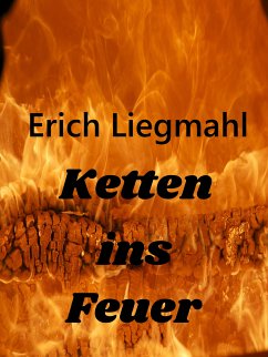 Ketten ins Feuer (eBook, ePUB)