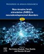 Non-invasive Brain Stimulation (NIBS)... - Bild 1