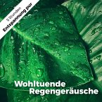 Wohltuende Regengeräusche (MP3-Download)