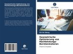 Geometrische Optimierung von Hochleistungs-Bürstenmotoren