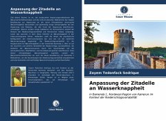 Anpassung der Zitadelle an Wasserknappheit - Tedonfack Sedrique, Zoyem