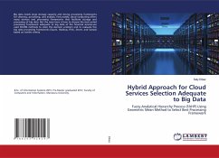 Hybrid Approach for Cloud Services Selection Adequate to Big Data