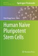 Human Naïve Pluripotent Stem Cells - Bild 1