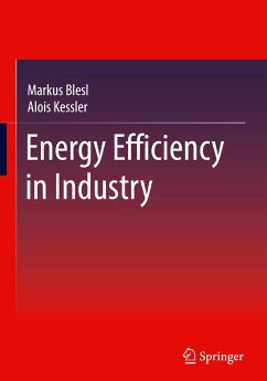 Energy Efficiency in Industry - Blesl, Markus;Kessler, Alois