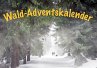 Durch den Wald im Advent - Bild 1