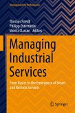 Managing Industrial Services (eBook, PDF)