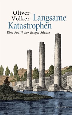 Langsame Katastrophen (eBook, PDF) - Völker, Oliver