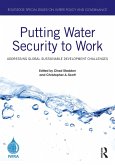 Putting Water Security to Work (eBook, ePUB)