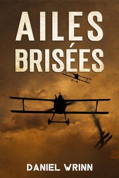 Ailes Brisées (La Grande Guerre Série) (eBook, ePUB) - Wrinn, Daniel