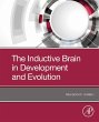The Inductive Brain in Development and... - Bild 1