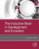 The Inductive Brain in Development and Evolution (eBook, ePUB)