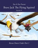 Brave Jack The Flying Squirrel (A Forest Animal Series, #4) (eBook, ePUB)