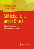 Mittelschicht unter Druck (eBook, PDF)