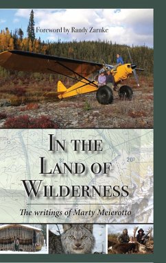 In the Land of Wilderness - Meierotto, Marty