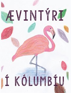 Ævintýri í Kólumbíu - Hanna Pétursdóttir; Eva Pétursdóttir