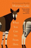 What You Can See From Here (eBook, ePUB)