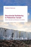 Decolonial Solidarity in Palestine-Israel (eBook, PDF)