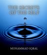 The Secrets of the Self (eBook, ePUB) - Bild 1