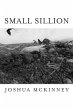 Small Sillion (eBook, PDF) - Bild 1