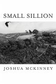 Small Sillion (eBook, PDF)
