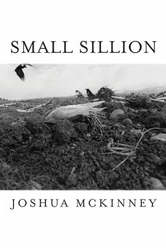 Small Sillion (eBook, PDF) - Mckinney, Joshua