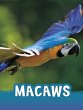 Macaws - Bild 1