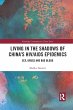 Living in the Shadows of China's... - Bild 1
