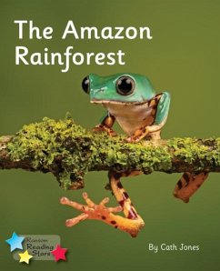 Cover The Amazon Rainforest