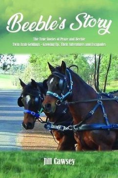 Cover Beeble's Story (eBook, ePUB)