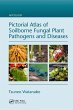 Pictorial Atlas of Soilborne Fungal... - Bild 1