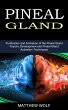 Pineal Gland - Bild 1