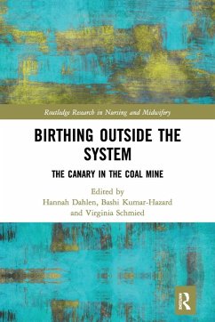 Cover Birthing Outside the System