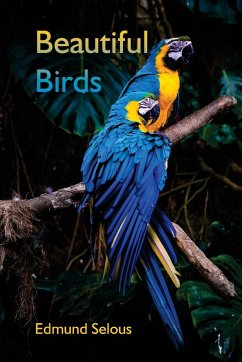 Beautiful Birds - Selous, Edmund
