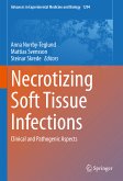 Necrotizing Soft Tissue Infections (eBook, PDF)