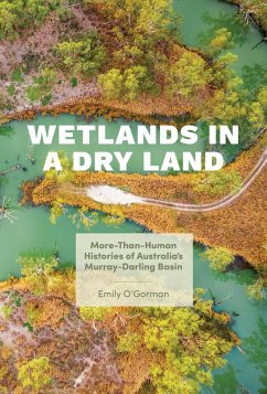 Cover Wetlands in a Dry Land (eBook, ePUB)