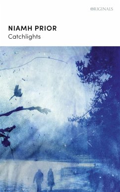 Cover Catchlights (eBook, ePUB)
