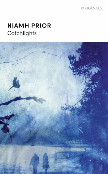 Catchlights (eBook, ePUB)