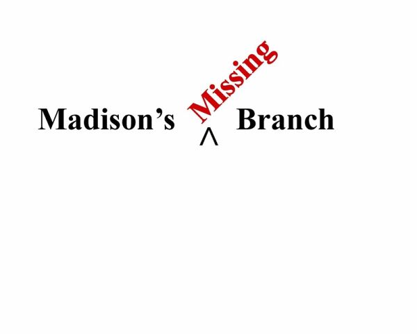 Madison's Missing Branch (eBook, ePUB) Madison's Missing Branch (eBook, ePUB)