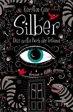 Das erste Buch der Träume / Silber Trilogie Bd.1 (Mängelexemplar) - Gier, Kerstin