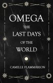 Omega - The Last days of the World (eBook, ePUB)