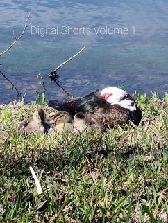 Cover Digital Shorts (eBook, ePUB)