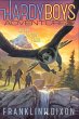 As the Falcon Flies (eBook, ePUB) - Bild 1