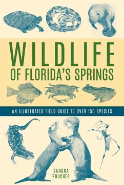 Wildlife of Florida's Springs - Poucher, Sandra