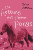 Die Rettung des grauen Ponys